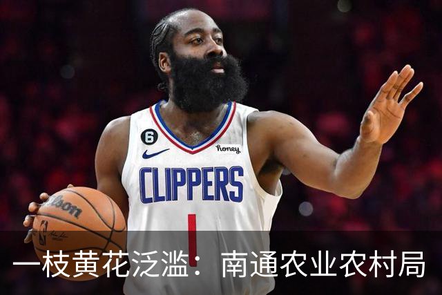 一枝黄花泛滥：南通农业农村局“看不见”，还是装瞎？