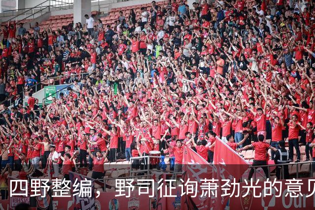 四野整编，野司征询萧劲光的意见，他说：第12兵团加一个副司令