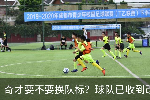 奇才要不要换队标？球队已收到改版请求，球迷投票定夺