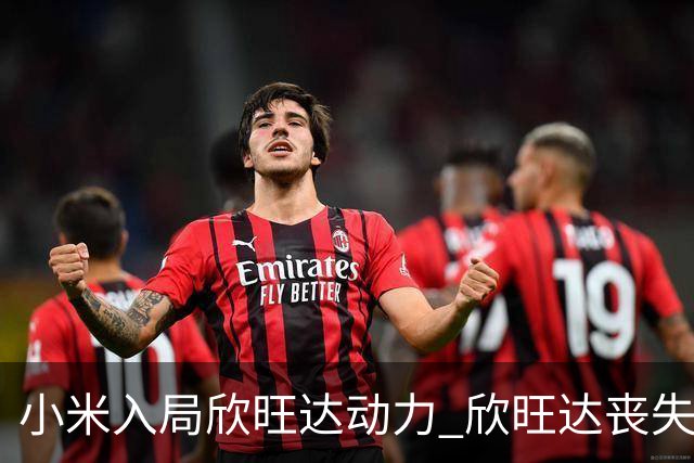 小米入局欣旺达动力 欣旺达丧失控制权