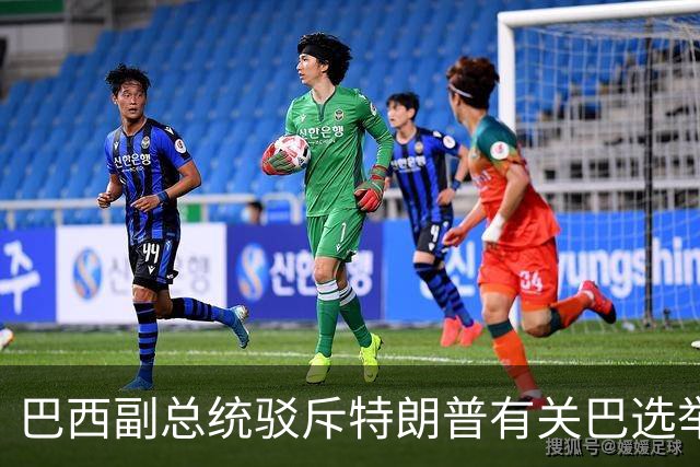 巴西副总统驳斥特朗普有关巴选举“被操纵”言论