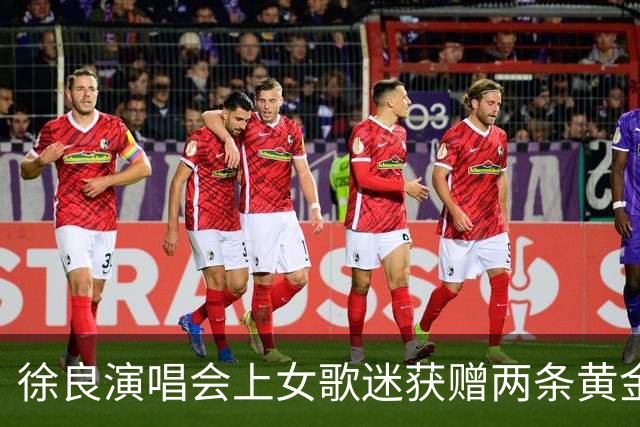 徐良演唱会上女歌迷获赠两条黄金小象项链，总重4.83克价值约6000元，当事人：第一次收到良哥的礼物，惊喜又幸运