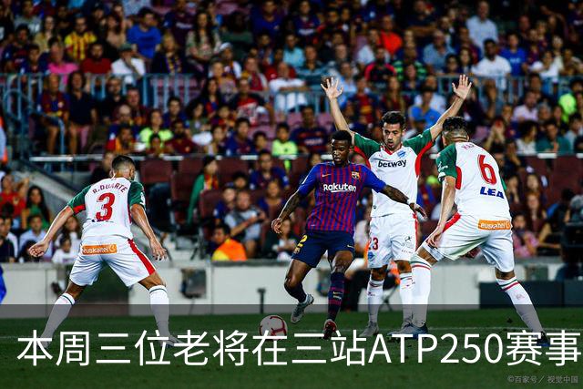 本周三位老将在三站ATP250赛事走完网球征途