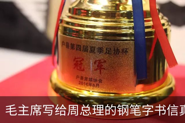 毛主席写给周总理的钢笔字书信真罕见！长枪大戟！跌宕跳跃！如何鉴赏一幅书法作品？