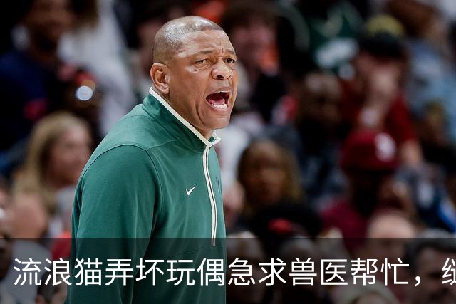 流浪猫弄坏玩偶急求兽医帮忙，缝补进行中它全程陪护，眼神满是担忧：快救救我的好朋友！