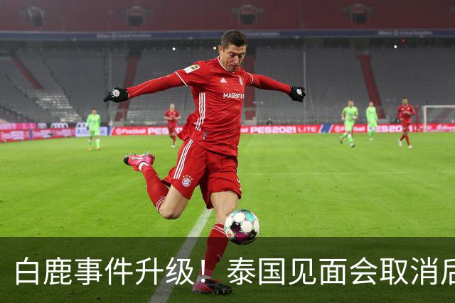 白鹿事件升级！泰国见面会取消后，缅北视频又被扒，黑历史曝光