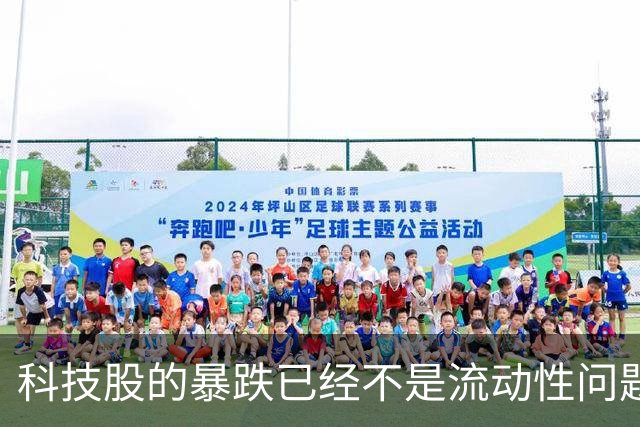 科技股的暴跌已经不是流动性问题了