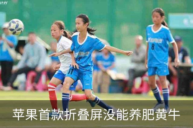苹果首款折叠屏没能养肥黄牛
